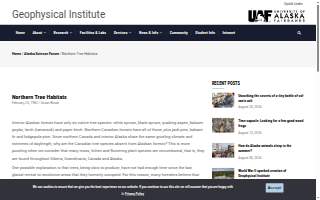 Tree City Hearing website