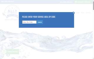 Ally Plumbing & Restoration website