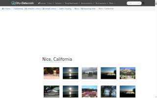 The Nice Law Firm, LLP website