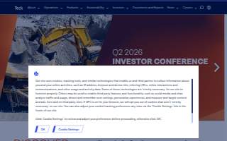 Teck Electric website