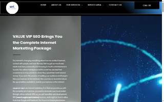 Value VIP SEO website