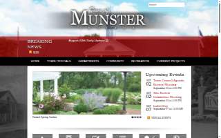 Munster Wireless Repair website