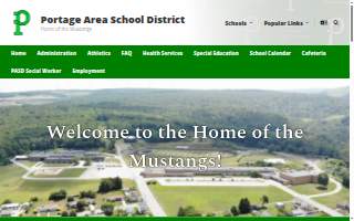 Portage Family Chiropractic website