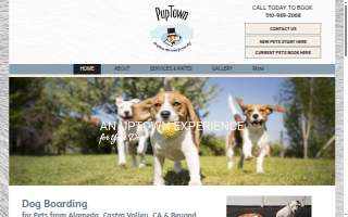 PupTown Playground website