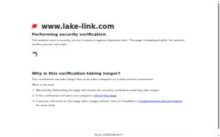 Lake Financial Co website
