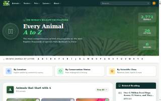 Animal Medical Center of New England website