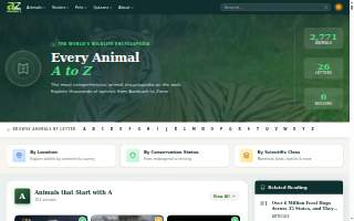 Animal Clinic & Hospital: Yoo Sung H DVM website
