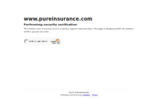 Pure taste Catering website