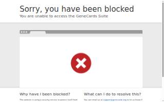 Gene's Electric website