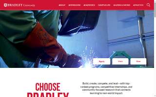 Bradley Automotive Service website