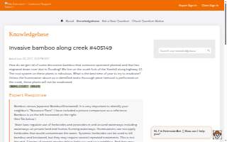 Bamboo Financial Partners website