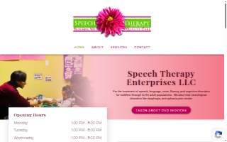 Speech Therapy Enterprises LLC website