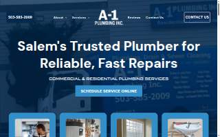 A-1 Plumbing Inc website