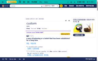 Custom Accounting Solutions website