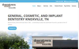 Downtown Dental website