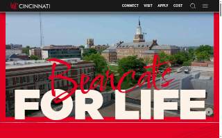 Catalyst Business Consulting website