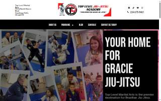Top Level Martial Arts website