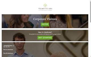 Palmetto In-Home Health website