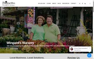 Palmetto Payroll Solutions website