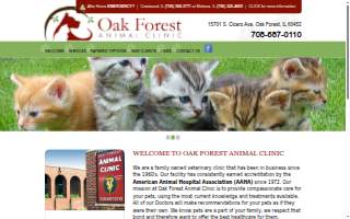 Lady's Island Dental website