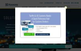 Roanoke Insurance Group Inc. website