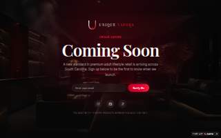 Unique Vapors website