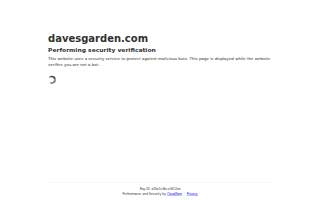 Timber Lane Pediatrics website