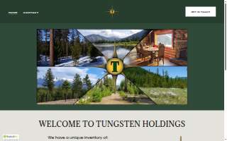 Tungsten Holdings Inc website